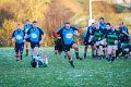 Monaghan Legends V Perennials (23)